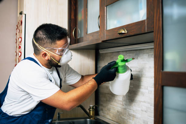 Best Emergency Pest Control  in Mobile, AL