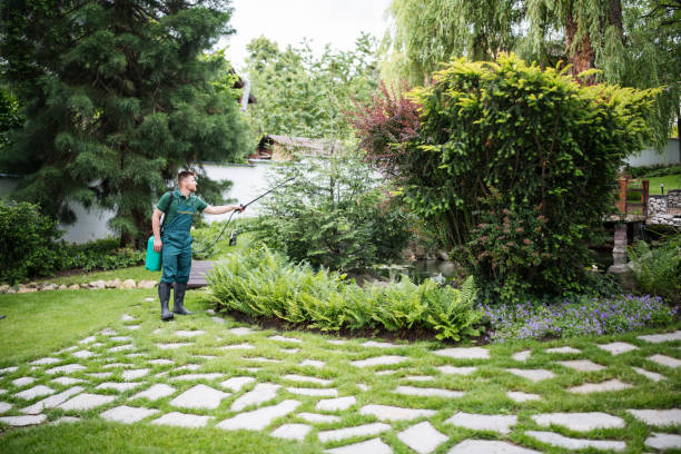 Best Local Pest Control Services  in Mobile, AL