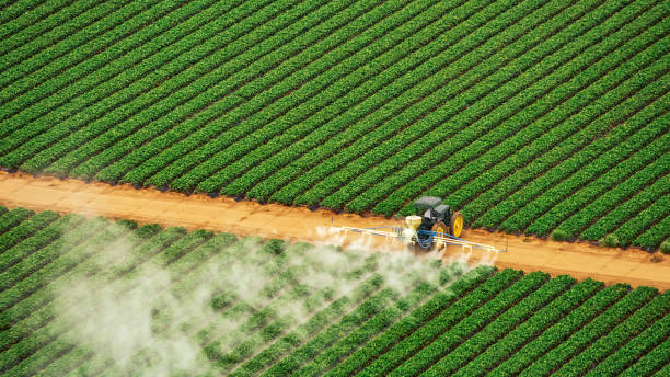 Pest Control Cost in Mobile, AL
